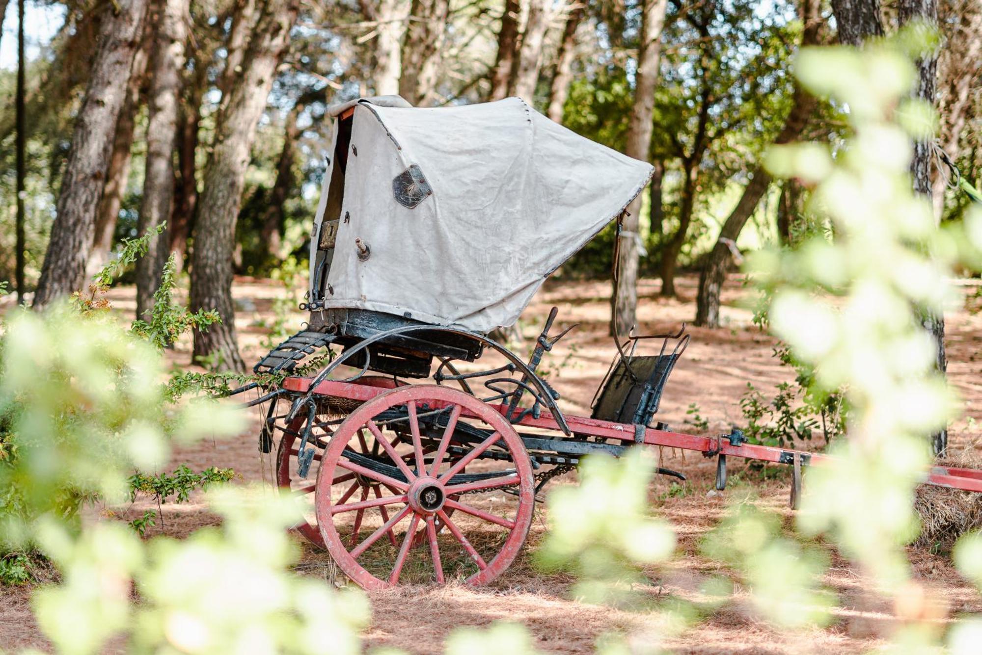 19 Secolo - Trulli Con Foresta, Bici E Barbecue Чистернино Экстерьер фото