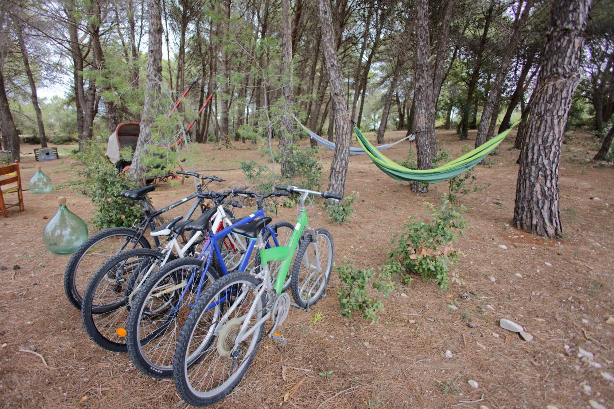 19 Secolo - Trulli Con Foresta, Bici E Barbecue Чистернино Экстерьер фото